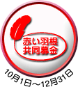 赤い羽根募集期間